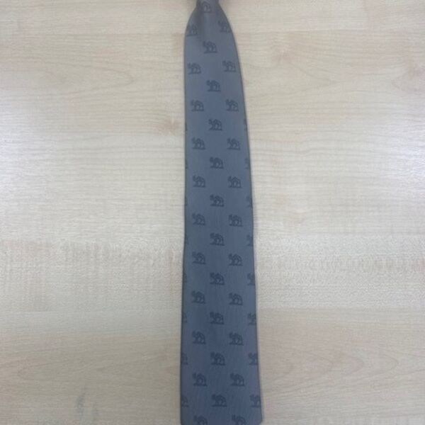 C4ECLBBI073-2 Grocers Hall Camel Tie  - Clip on  Thumbnail